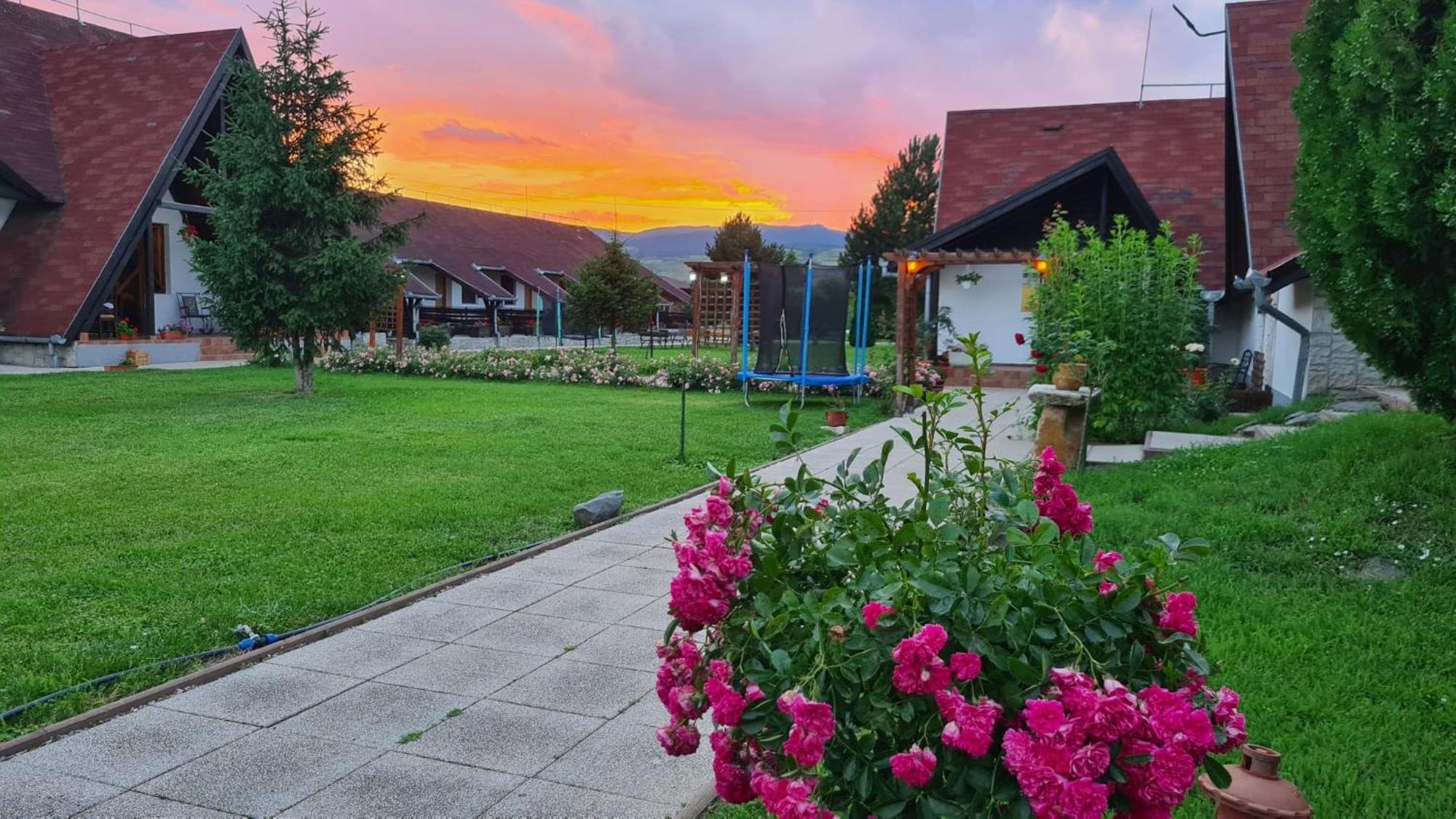 Drumul Dragostei Vintu De Jos Esterno foto